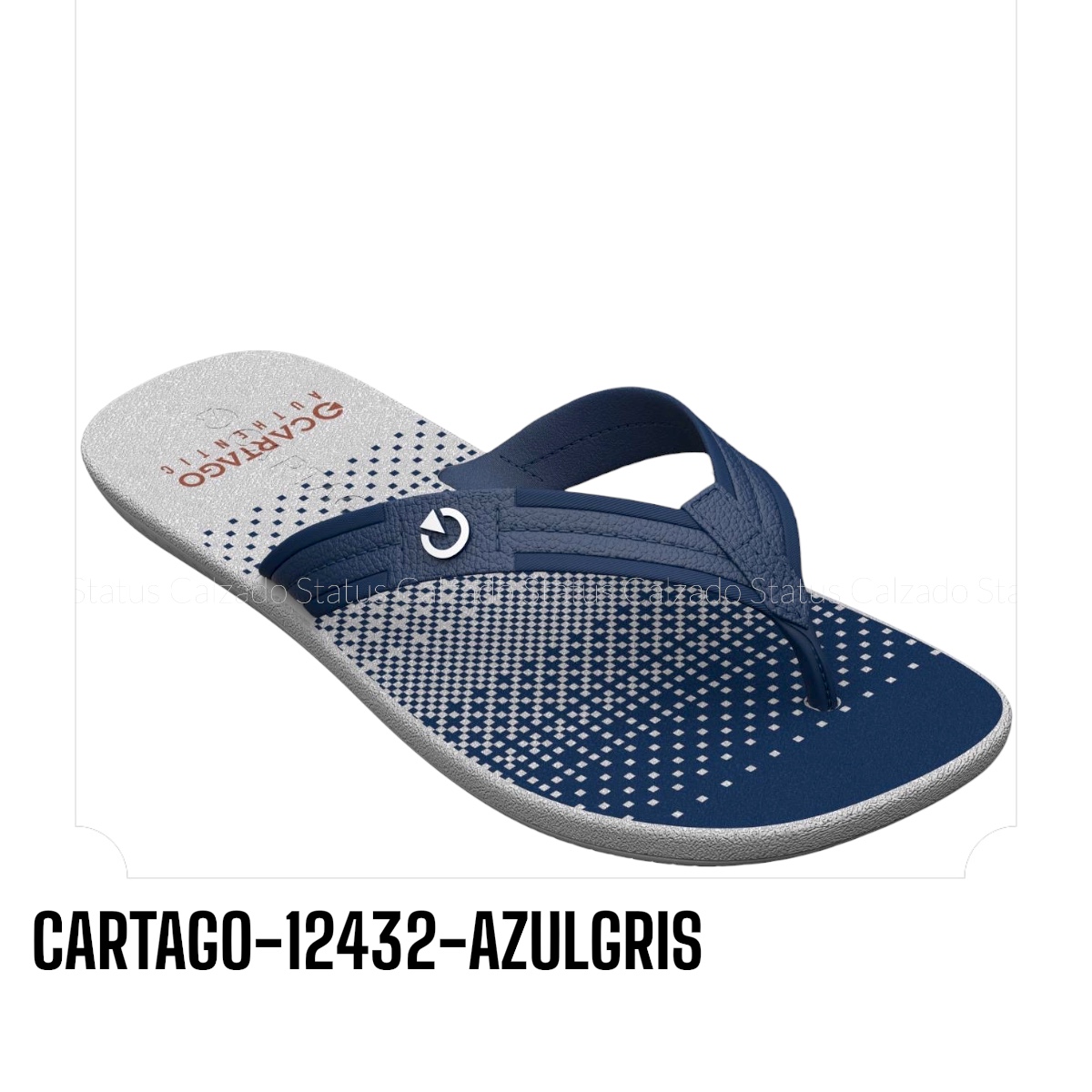 CARTAGO-12432-AZULGRIS