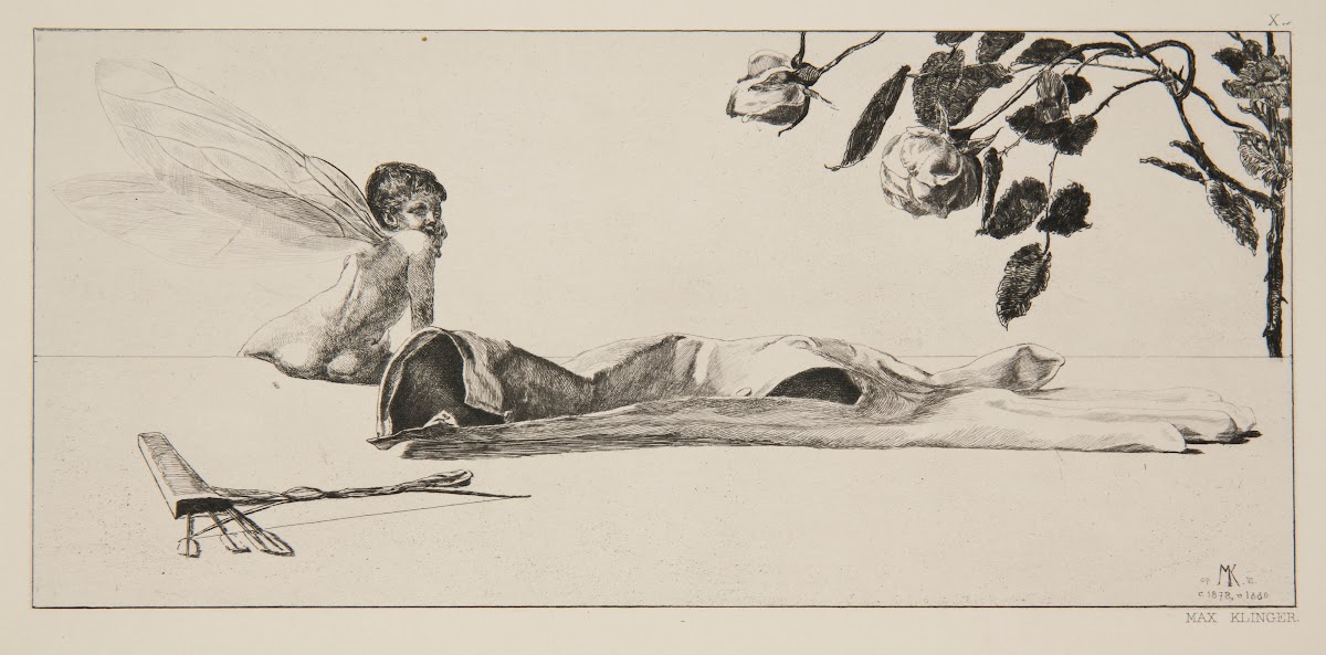 Amor 1893