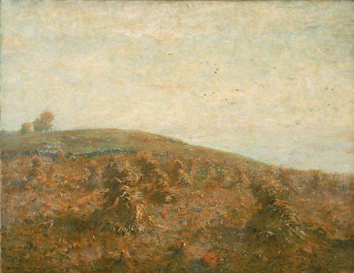 The Cornfield