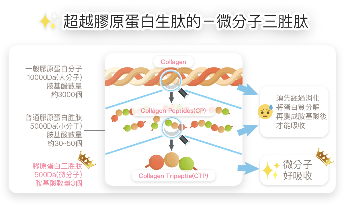 THEMIS 肽美斯 產品說明 12