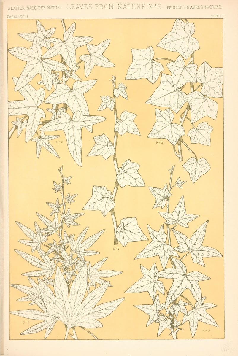 Leaves from Nature No 3 1910