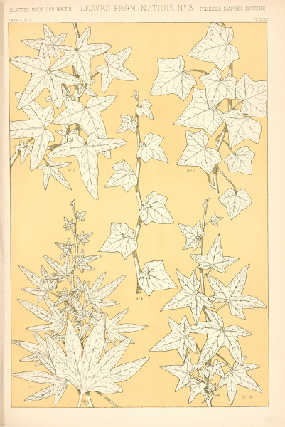 Leaves from Nature No 3 1910