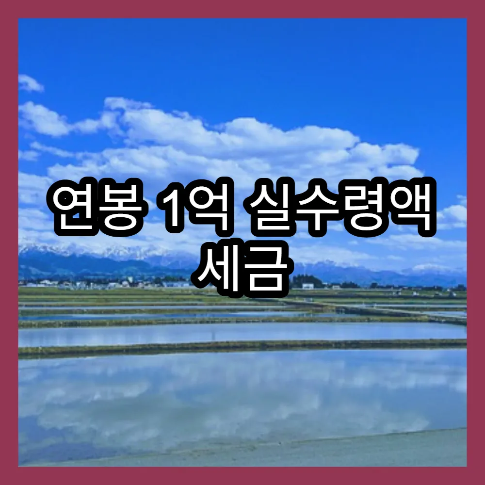 연봉 1억 실수령액 세금 계산과 최신 세금 정책