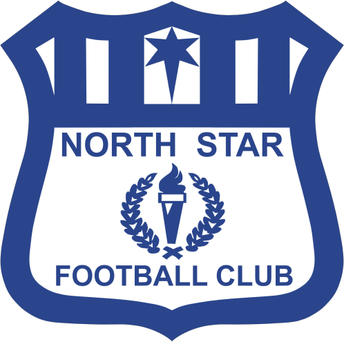 North Star logo