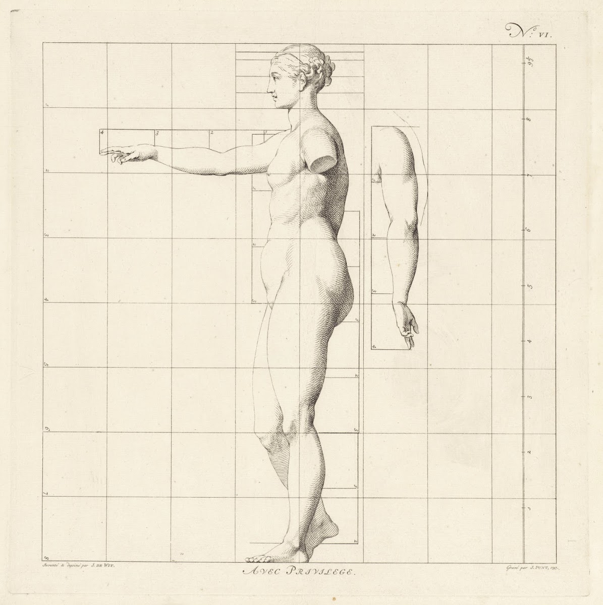Proportional study of a womans body 1747