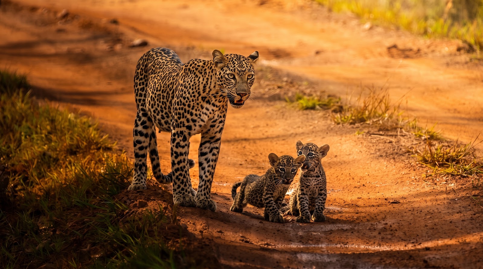 Lahugala National Park