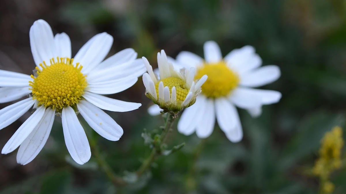 개인회생 절차 전후 소비자 구매 행동 패턴 비교