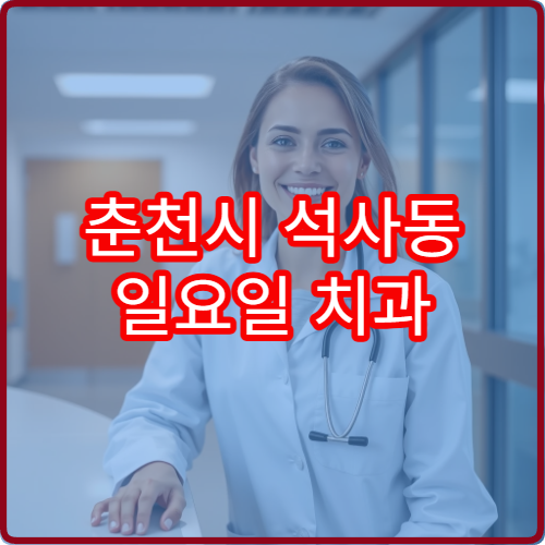 춘천시 석사동 일요일 치과 진료 가능한 곳 한눈에
