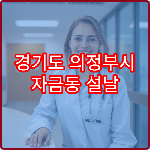 경기도 의정부시 자금동 설날 명절 연휴 영업약국 자금동 주민센터·아파트 야간 소화제 구입