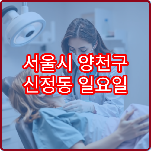 서울시 양천구 신정동 일요일 진료 가능한 소아청소년과 휴일 진료 가능 여부