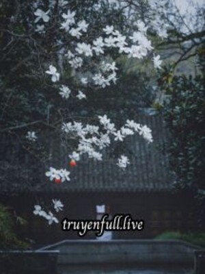 Tích Hồng Trang – Diệu Liêm
