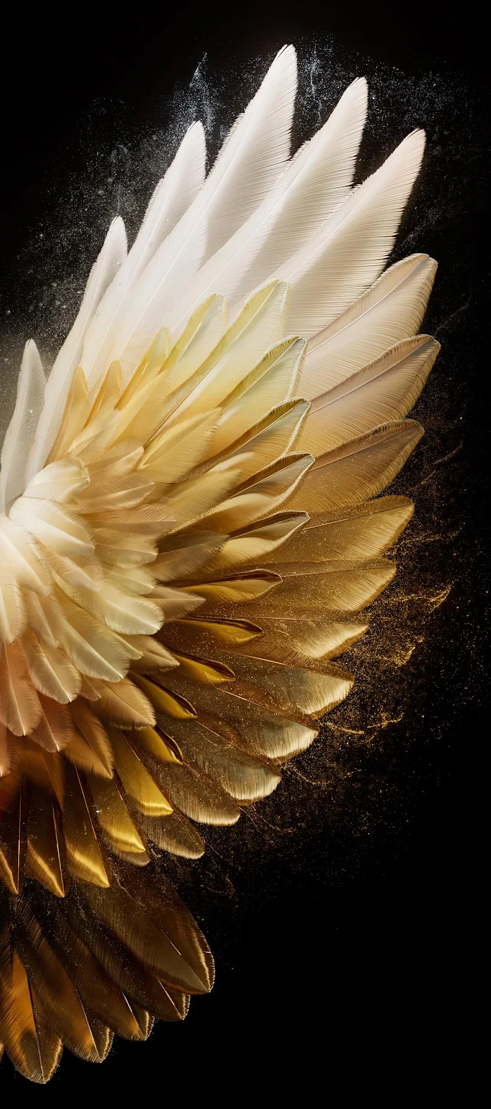 Golden White Wing On Black - Stylized Abstract Art Full HD iPhone Wallpaper (1080x2436)