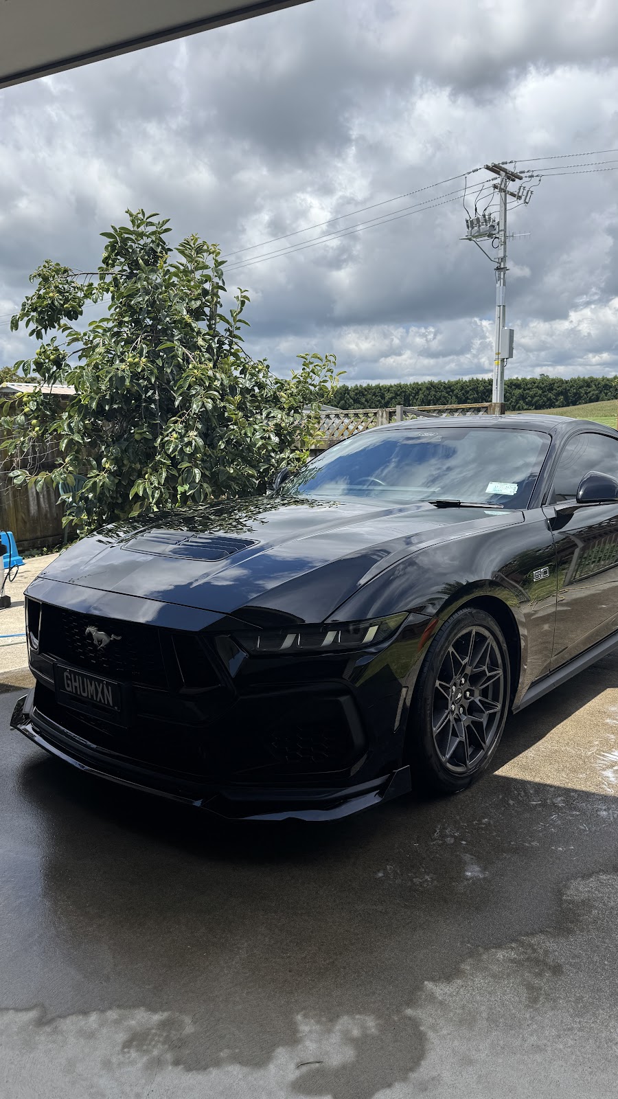 Paint protection Bay of Plenty