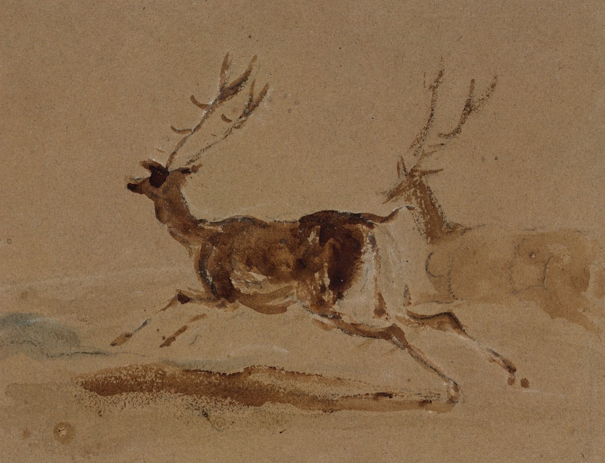 Two Stags Running 182073