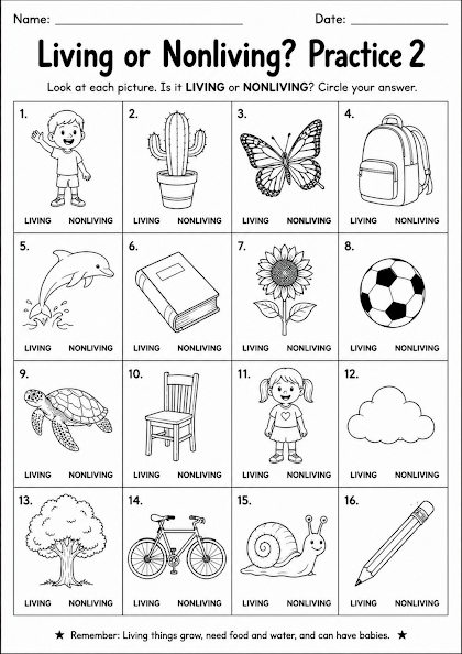 Living or Nonliving? Practice 2