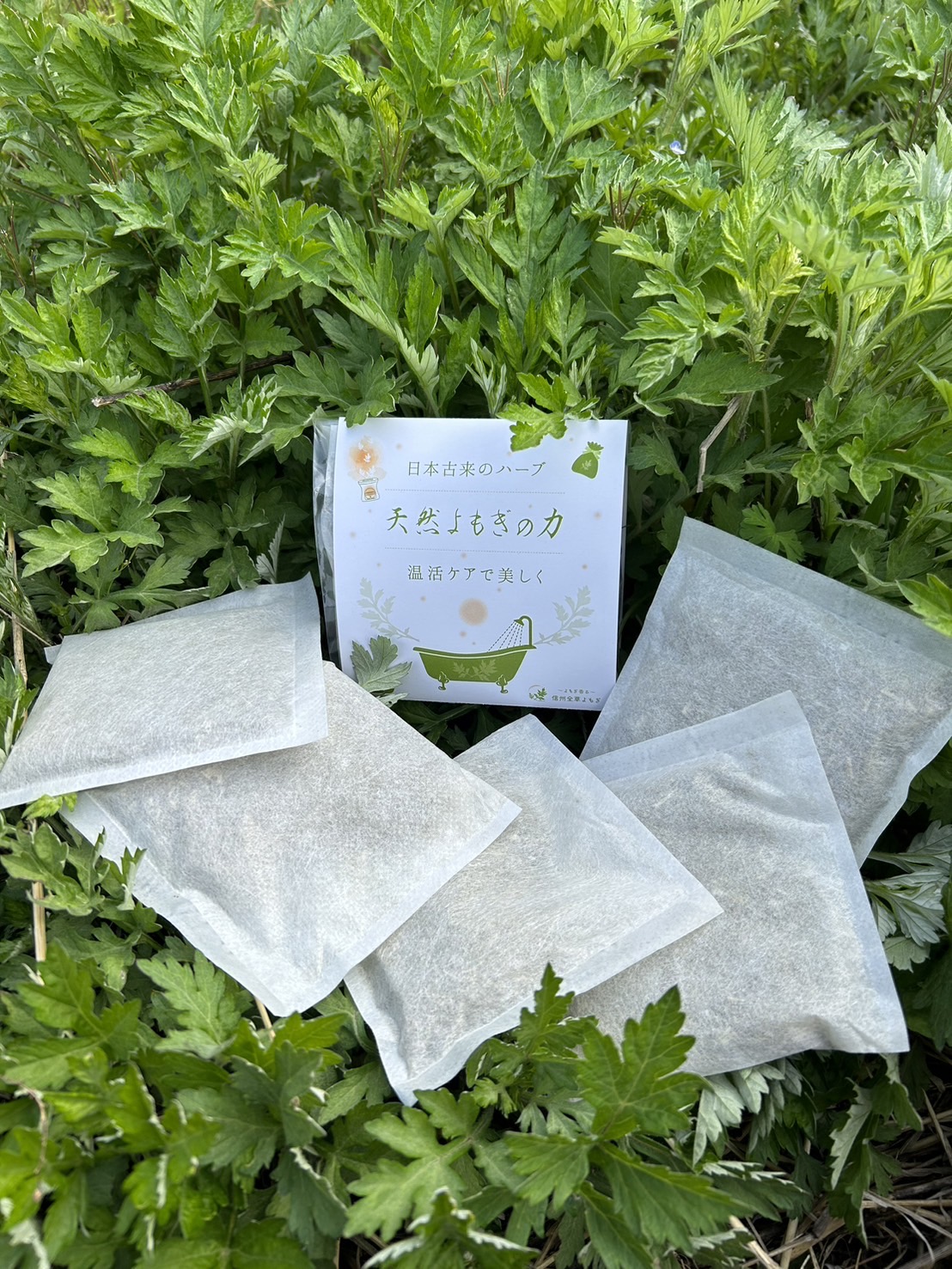 よもぎ屋の画像２