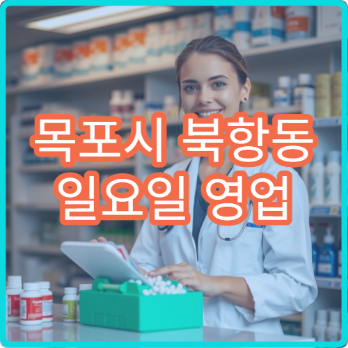 목포시 북항동 일요일 영업 약국 멀미약·지사제 구입 안내