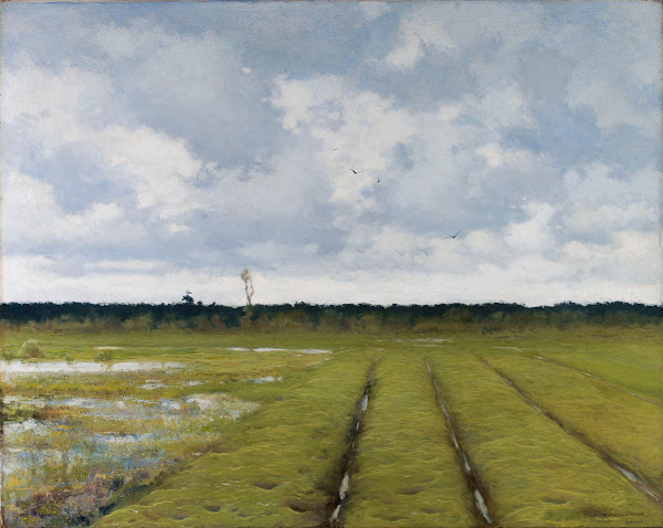 Landscape 1893
