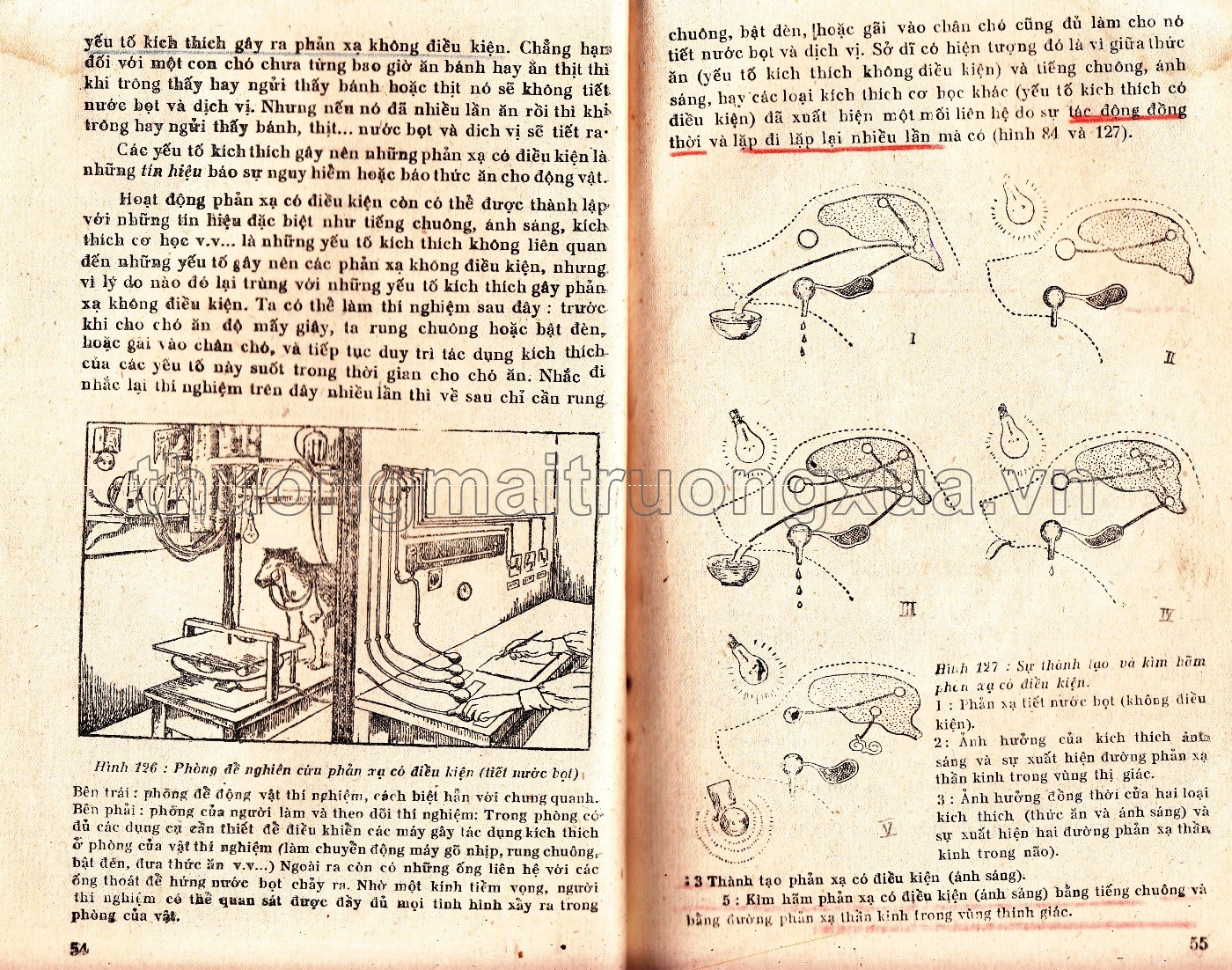 Giải phẫu và sinh lý người (lớp 8 phổ thông, tập 2 - 1960) - Trang 28