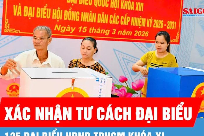 125 đại biểu HĐND TPHCM khóa XI được xác nhận tư cách đại biểu - Báo Sài Gòn Giải Phóng