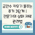 금전수 키우기 물주는 주기 3단계 | 전문가의 실패 제로 관리법