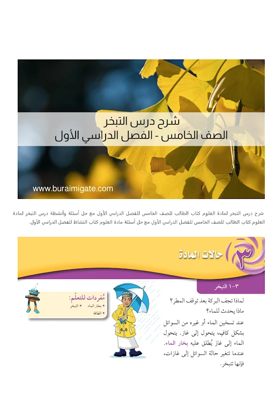 صورة الغلاف