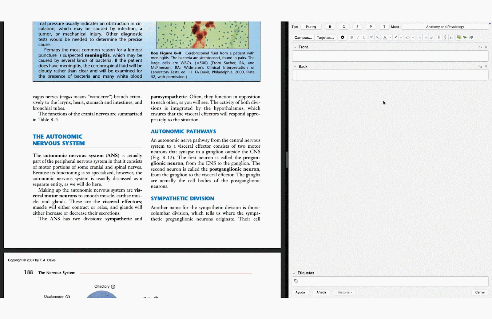 FlashCard GPT interface