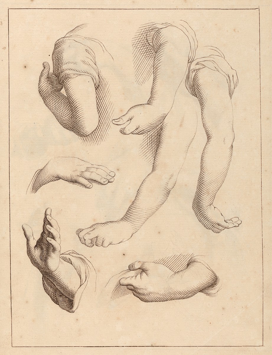 Studies of Arms and Hands between 1715 and 1720