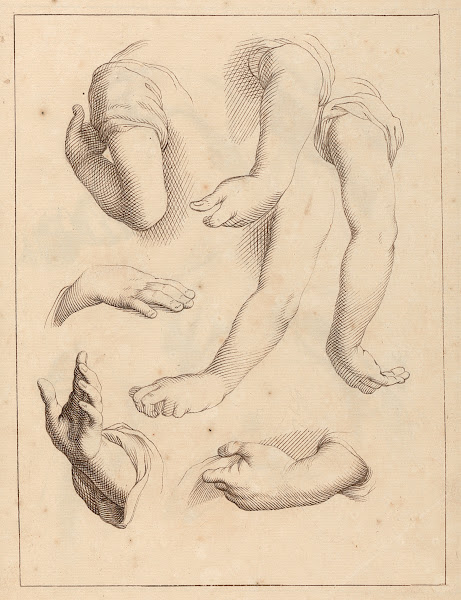 Studies of Arms and Hands between 1715 and 1720