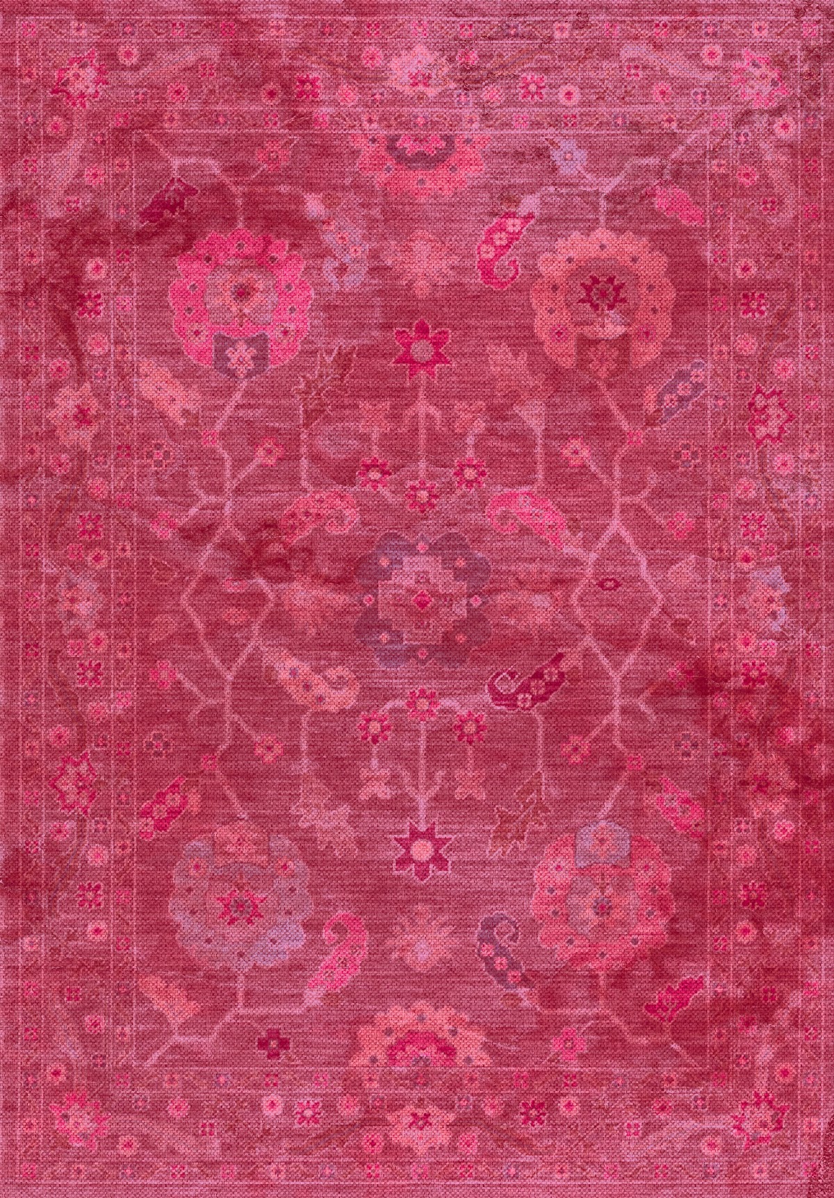 Kilim Collection D 0050 B