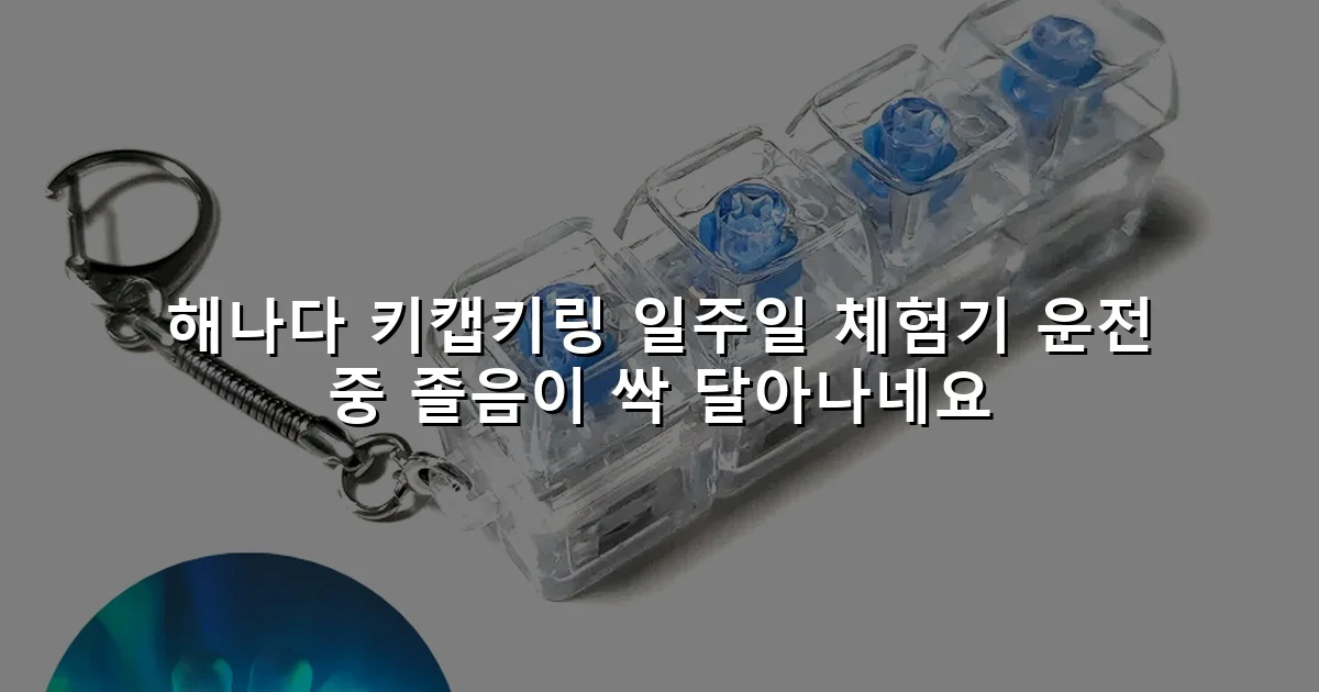 해나다 키캡키링 일주일 체험기 운전 중 졸음이 싹 달아나네요