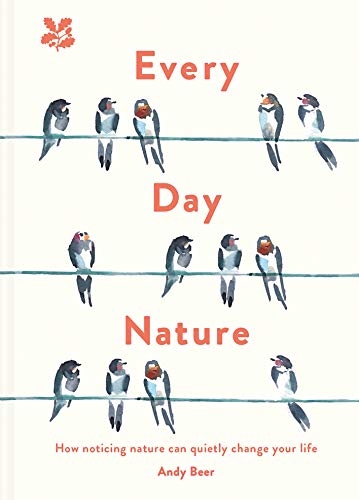 Product image for EVERY DAY NATURE BY ANDY BEER: How Noticing Nature Can Change Your Life.