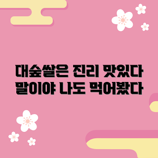 대숲맑은담양쌀20kg, 담양쌀 추천, 맛있는 쌀, 쌀 구매 이유, 대숲쌀 후기