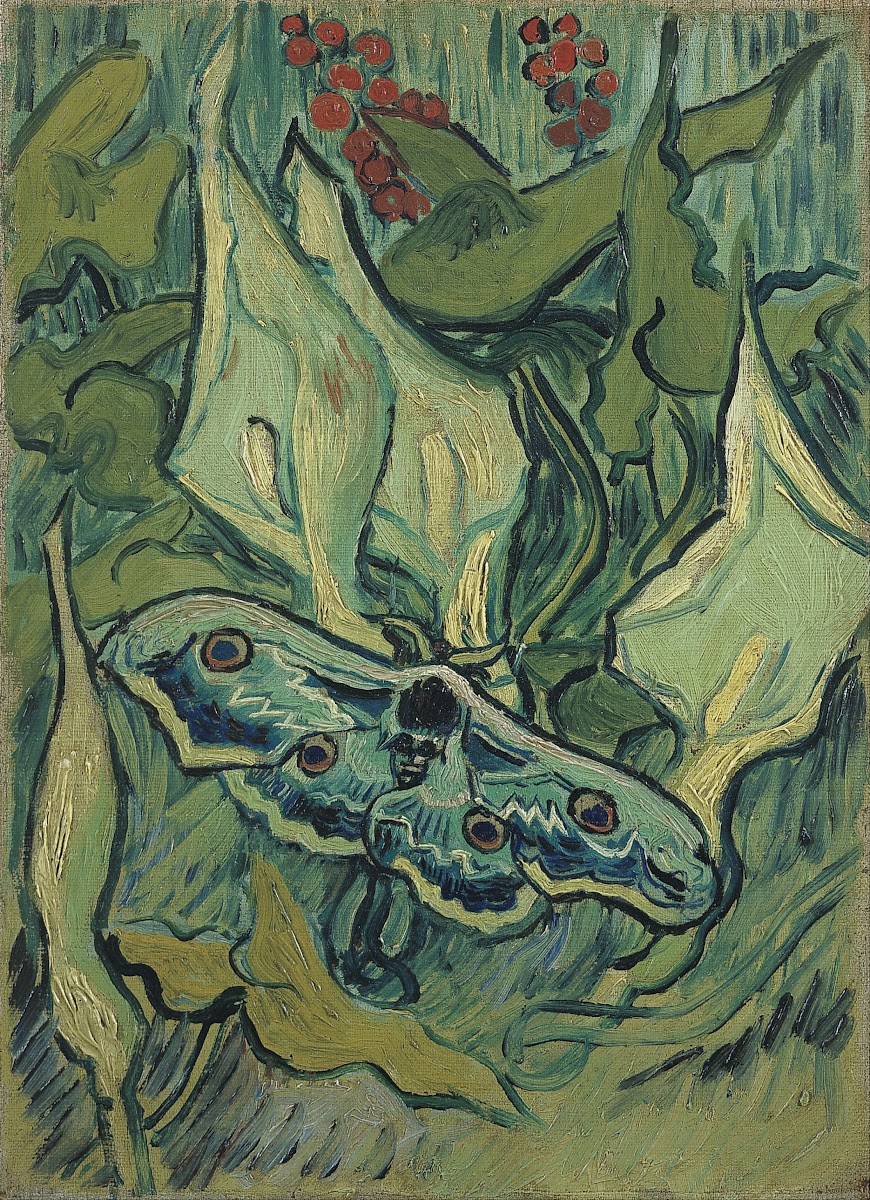 Emperor moth 1889