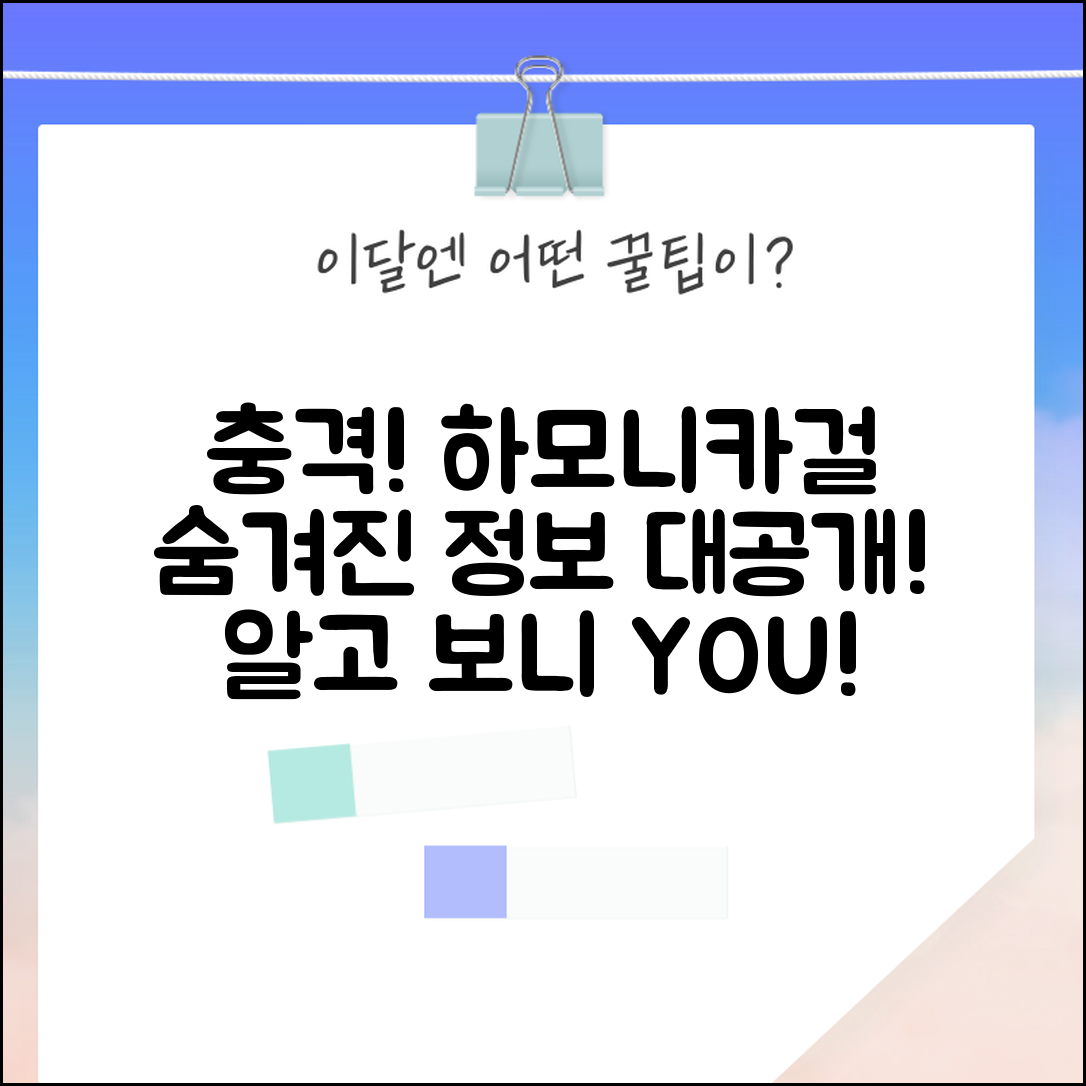 충격적인 하모니카걸이의 숨겨진 정보!