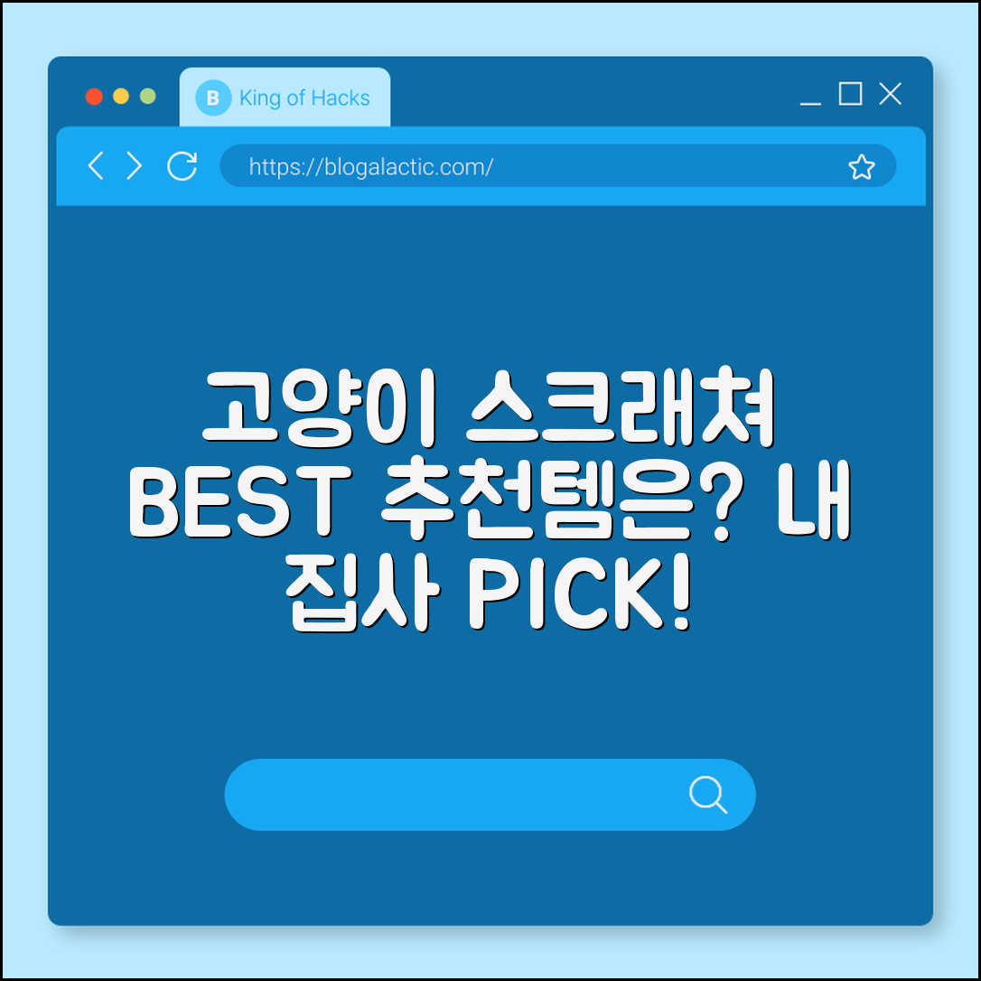 고양이 스크래쳐, 어떤 제품이 좋을까요?