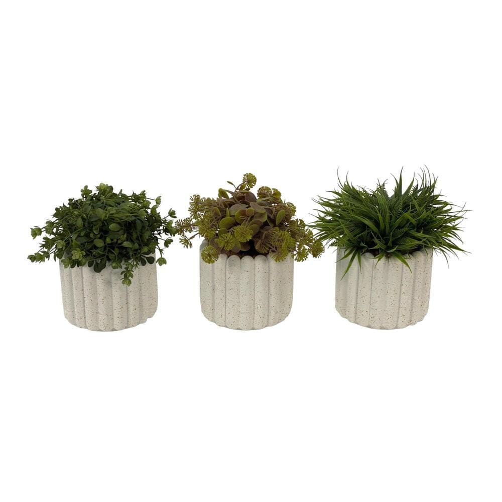 Planta artificial decorativa con maceta texturizada Concepts™ Bombay, modelo variable, 1 pieza