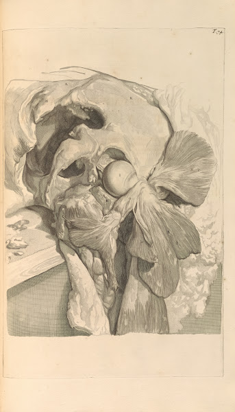 Anatomia humani corporis Pl075 1685