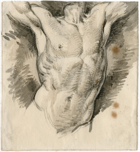 Torso ve mannelijk naakt