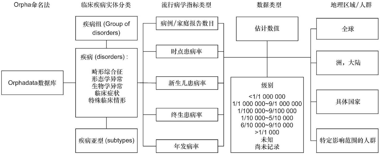 A Study on the Application of NQT1-2IP in the Treatment of Vascular Diseases