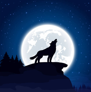 Wolf Moon Picture