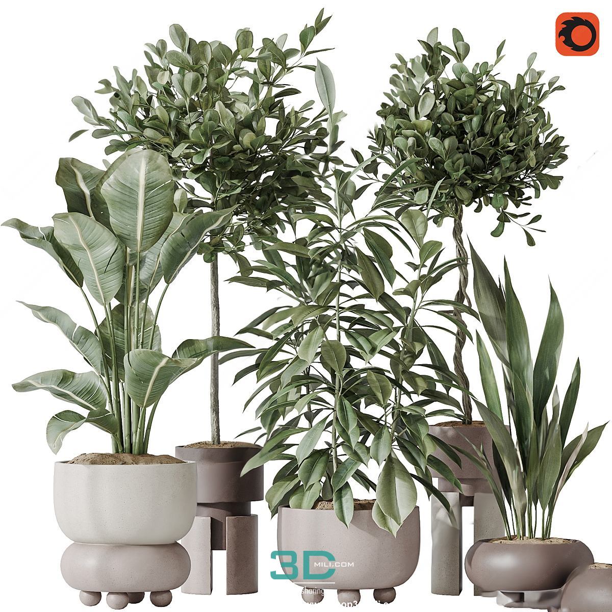 978.Sell Album Indoor Plant PRO Vol 01