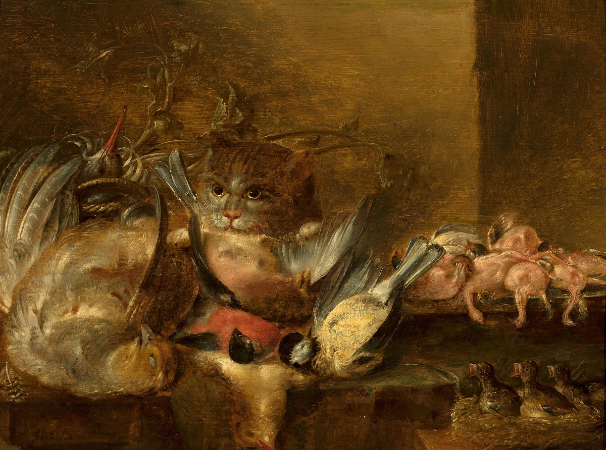 Dead birds and a cat