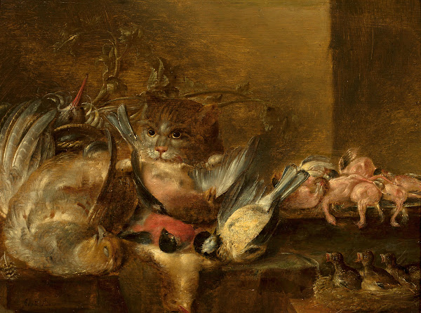 Dead birds and a cat
