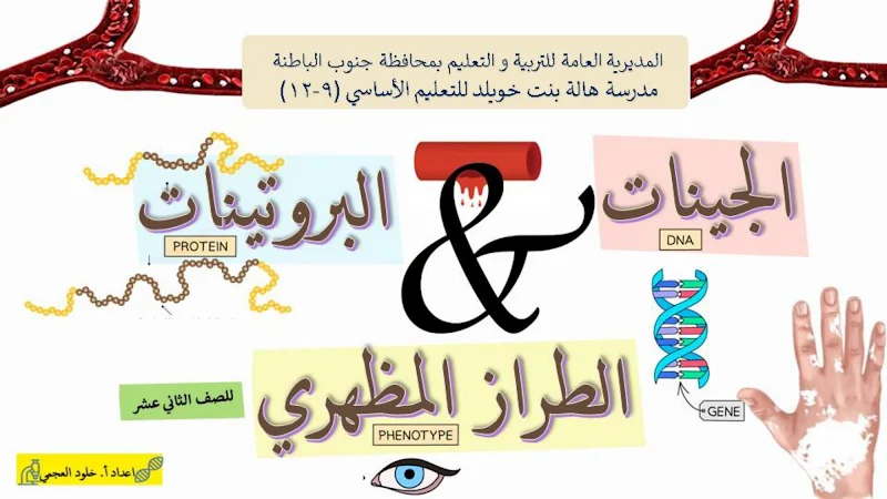 صورة الغلاف