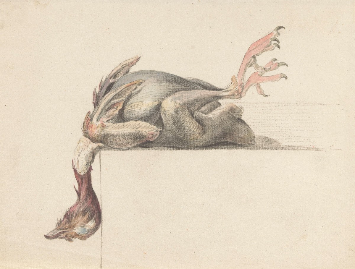 Geplukte vogel met de kop naar beneden hangend 1775   1833