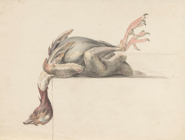 Geplukte vogel met de kop naar beneden hangend 1775   1833