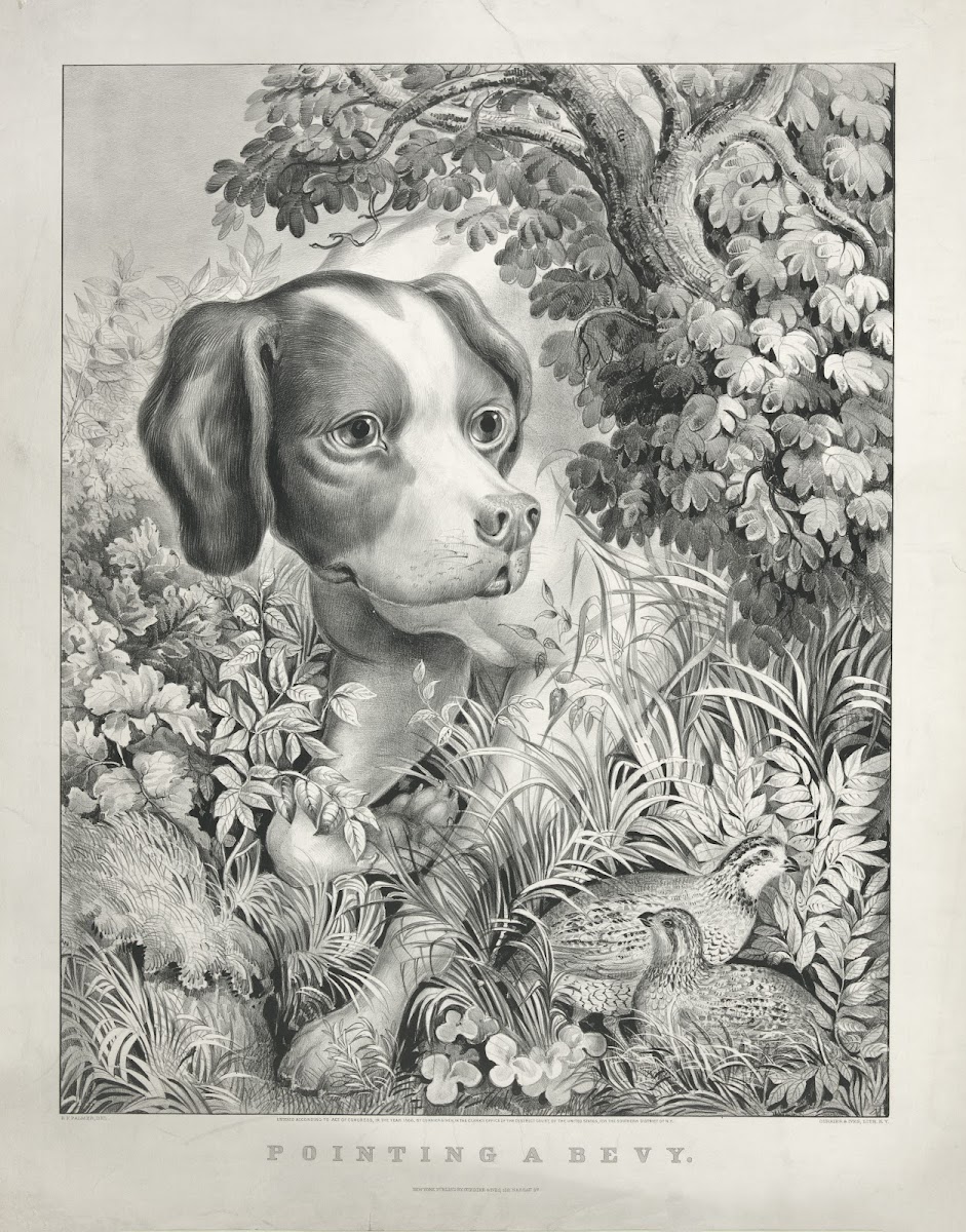Pointing a bevy 1866
