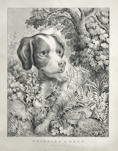 Pointing a bevy 1866