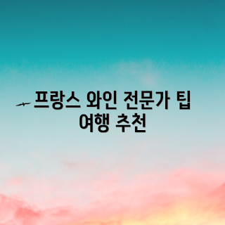 프랑스 와인 여행, 와인 초보자를 위한 팁, 전문가 추천 와인, 프랑스 와인 지역, 여행 정보